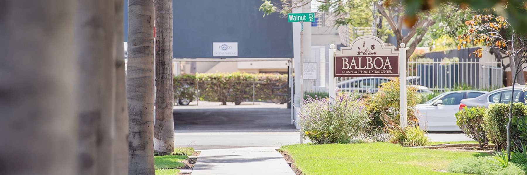 Desktop Background Image